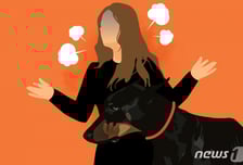 "우리 개가 당신보다 비싸" 70대 주차관리원 모욕한 죗값 '150만원'