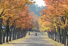 [오늘 날씨] 청명한 가을 날씨…일교차는 15도 안팎