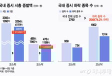 대장주도 휘청… '검은 수요일' 하루 새 111조원 빠졌다