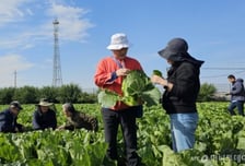 각국 특성에 맞는 작물 개발…'K-seed', 글로벌 입맛 사로 잡는다