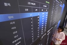 온라인도매시장, 지역 마트에 확산…유통단계 줄여 농가 수익↑