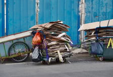 폐지 손수레로 사람 친 노인 '벌금 300만원'…판사 "피해자 더 안타까워"