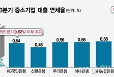 중소기업대출 11조 폭증한 은행, 연체율 치솟았다..생산적금융 여파?