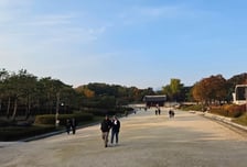 종묘 앞 145m 건물 탄력받나…유산청 아닌 서울시 손 들어준 대법