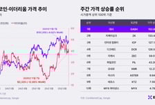 "7.9만달러까지 내린다"vs"17만달러 간다" 비트코인 엇갈린 전망