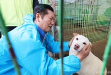 유기견 '덕이' 만난 정청래..."대표 취임 100일? 말보다 일하겠다"