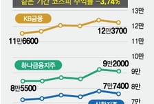 AI거품론 강타한 증시… 끄떡 없는 전통 배당주