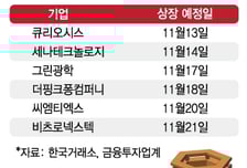1만4700원→5만8800원…"따따블" "따상상" 공모주 연말 파티