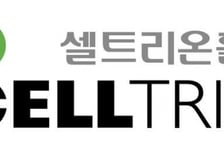 셀트리온홀딩스, 3382억원 규모 셀트리온 주식 추가 매입 결정