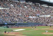 3만6000원 야구 티켓 28만원에…매크로 암표상, 웃돈 5600만원 챙겼다