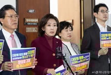 나경원 "민주당은 장관, 국힘은 수사 검사 불러 대장동 진실 밝혀보자"