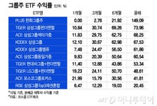 "조방원 다 있네" 4163억 몰리더니…'수익률 149%' 그룹주 ETF 1위
