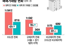 '10·15 풍선효과' 비규제지역 거래 급증