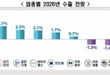 내년 수출  희비 교차, 선박↑·자동차↓…관세·환율 불안 우려