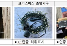 관세청, 美 블프·中 광군제 앞두고 '겨울철 불법 생활제품' 특별단속