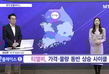 [투자 핫플레이스] ESS용 각형 LFP셀 투자 확대로 하반기 수주 모멘텀 기대 [엠플러스]