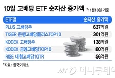 배당소득 분리과세 최고 세율 완화에 고배당 ETF에 뭉칫돈