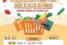 수원페이 쓰면 10% '즉시 환급'…22일 '새빛세일페스타' 열린다