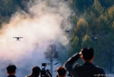 행안부, 내년 봄철 산불 대비 재난특교세 100억 교부