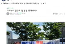 "가짜 대통령" "中공산당의 선거조작" 현수막에…민주당 "법 개정"