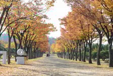 [내일 날씨] '수능 한파' 없다…낮 최고 20도, 큰 일교차