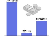 '기회의 문' 열린 K배터리 소재…"수십조 보조금 지켜라" 탈중국 사활