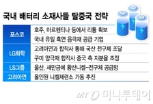 현실은 '100% 탈중국' 불가능?…K배터리 소재 '딜레마'