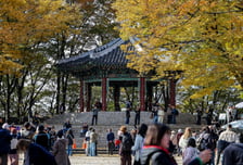 [오늘 날씨] '수능일' 큰 추위 없다…아침엔 쌀쌀, 낮 최고 20도