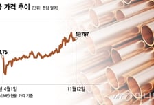 AI훈풍에… 구리·은 쭉 달린다