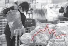 배춧값 떨어졌는데…"김칫값은 안 내려가" 도대체 왜