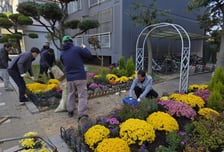 광주 도시농부들이 가꾼 식물, 아파트 '기부 정원'으로 재탄생
