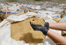 쌀 재배면적 또 '역대 최저'…생산량 4년 연속 줄었다