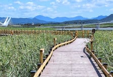 강진만 생태공원, 감성적인 빛과 예술적 미디어로 재탄생 기대