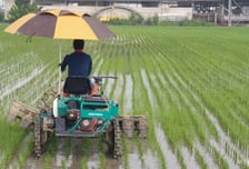 내년도 유기농업자재 지원 제도 개선…친환경 인증 농가 지원 강화