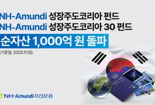 NH-아문디 성장주도 코리아 펀드, 설정 한 달만에 순자산 1000억 돌파
