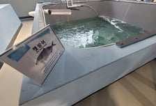 기후변화로 바닷속 어종이 변한다…미래 양식먹거리 찾는 아열대수산연구소