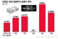 "한국서 돈 벌 기회" 사천피 불장 뛰어든 외국인, 18조 '폭풍매수'