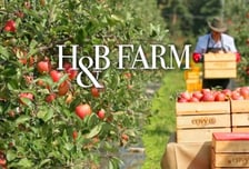 사과밭에 100억 뭉칫돈이…'100년만에 나온 명품사과' 통했다