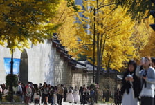 [내일 날씨] 전국 대체로 맑고 아침 '쌀쌀'…낮엔 포근