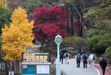 [오늘 날씨] 쌀쌀한 아침, 낮에는 포근…일교차 15도