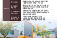 K-냉동김밥 난리났다...'케데헌' 타고 전세계 입맛 잡은 깜짝 비결