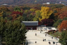 종묘, 세계유산지구 된다…142m 빌딩 들어오는 재개발에 '제동'