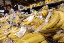 "커피·바나나값 잡아라"…美, 중남미 일부품목 관세 면제