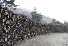 산림청, 전북 '선도 산림경영단지'서 목재 공급망 혁신 '팸투어' 개최