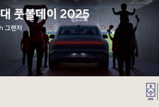 "그랜저와 함께 축구 국가대표 응원"…현대차 고객 초청 이벤트