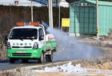 중국산 오리햄서 AI 유전자 검출…수입 물량 21.8t 폐기