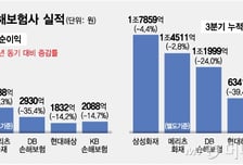 보험사 다 힘들었지만…생보 한숨 돌릴 때 손보 더 흔들린 이유