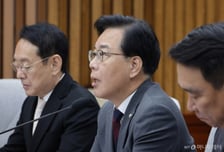 野송언석 "한미 팩트시트, 핵심 쟁점 해답 없어…지금부터 진짜 협상"