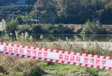 경기 평택 산란계농장서 H5형 AI 항원 확인…살처분 등 방역조치