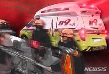 서울문산고속도로 성라산터널 인근 8중 추돌사고